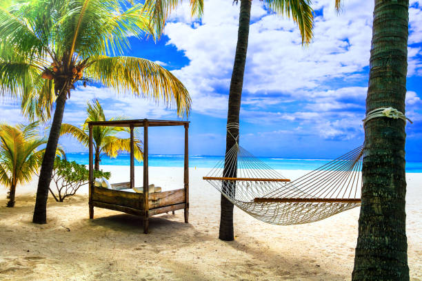istock Relaxing tropical holidays with hammock under palm tree. Mauritius island 664040126