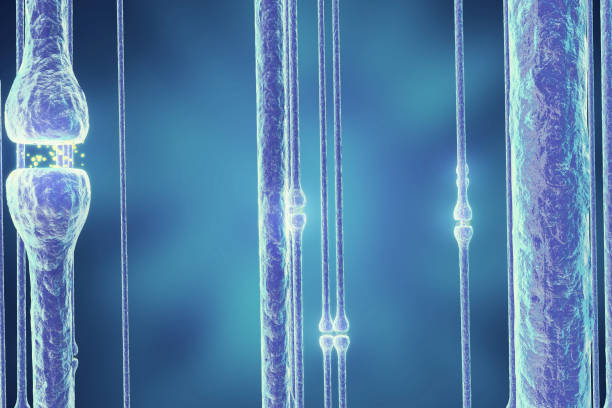 ニューロン信号青の背景に頭の中。シナプスの 3 d レンダリング - activity axon biology biomedical illustration点のイラスト素材／クリップアート素材／マンガ素材／アイコン素材