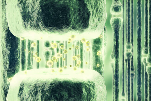 ニューロン信号青の背景に頭の中。シナプスの 3 d レンダリング - activity axon biology biomedical illustration点のイラスト素材／クリップアート素材／マンガ素材／アイコン素材