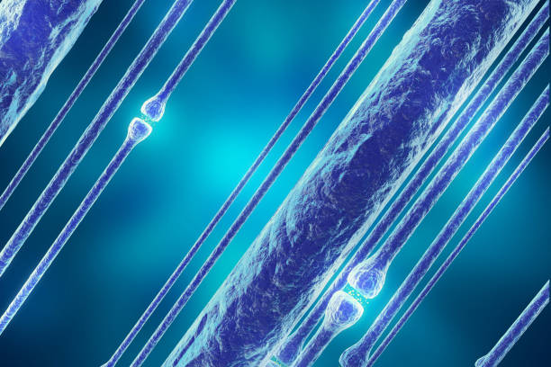 ニューロン信号青の背景に頭の中。シナプスの 3 d レンダリング - activity axon biology biomedical illustration点のイラスト素材／クリップアート素材／マンガ素材／アイコン素材