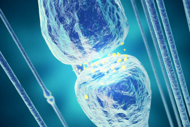 ニューロン信号青の背景に頭の中。シナプスの 3 d レンダリング - activity axon biology biomedical illustration点のイラスト素材／クリップアート素材／マンガ素材／アイコン素材