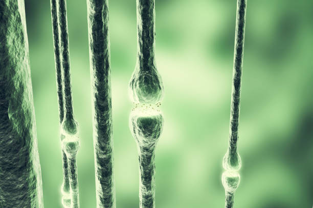 ニューロン信号青の背景に頭の中。シナプスの 3 d レンダリング - activity axon biology biomedical illustration点のイラスト素材／クリップアート素材／マンガ素材／アイコン素材