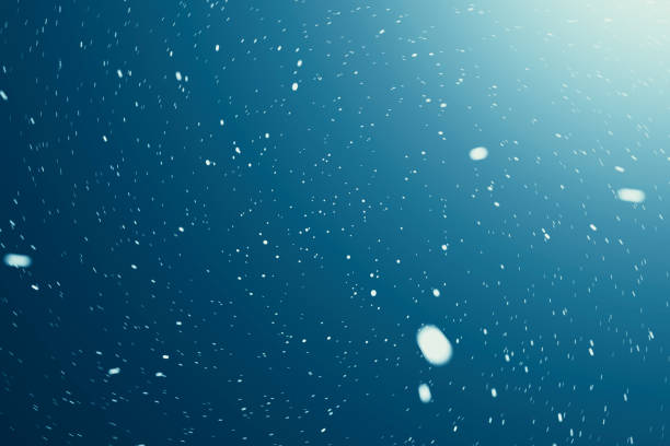 istock Blue Beautiful space background with stars sky and galaxies and constellations in outer space. 3d rendering 664043436