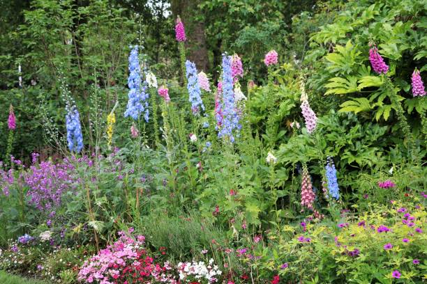 istock Flowers blooming in Hyde Park London, UK 664050970