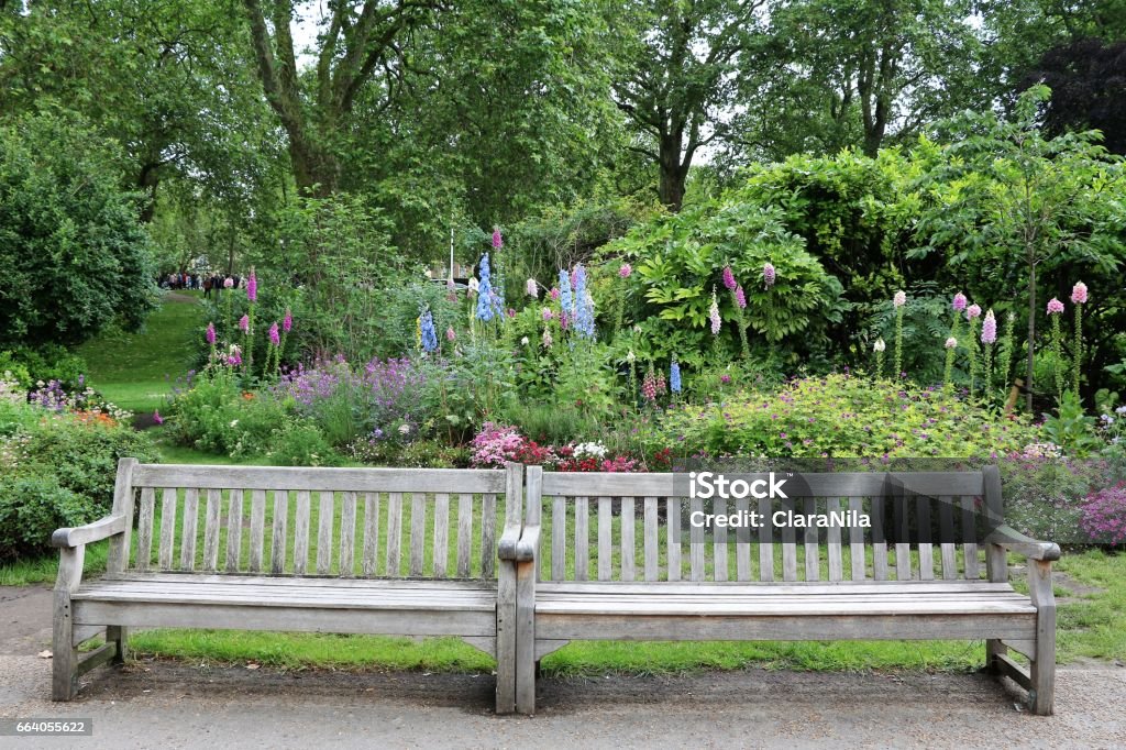 Summer in Hyde Park London, United Kingdom Bench Stock Photo