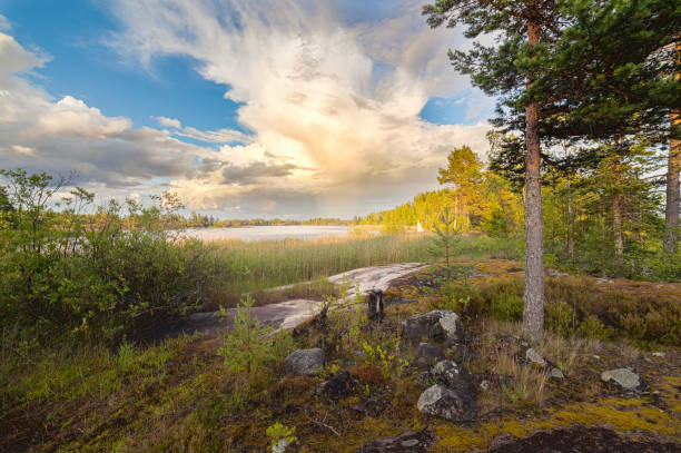 istock Lake Shore. Summer landscape 664061722
