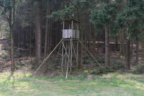 istock A lookout post beside the woods 664062536