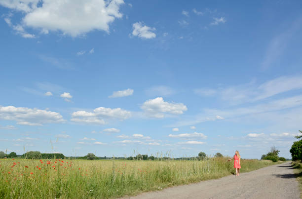 lonely young woman lonely young woman walking on field enttäuschung stock pictures, royalty-free photos & images