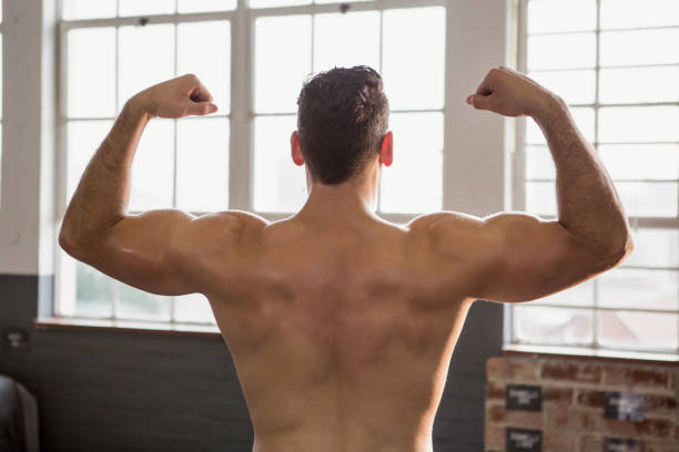 istock Rear view of muscular man flexing 664068440