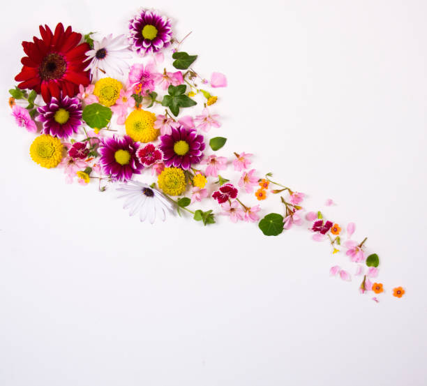 istock Floral arrangement on a white background 664071656
