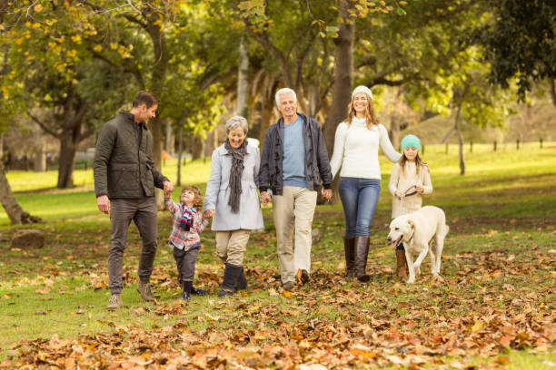 istock Smiling extended family walking together 664074472