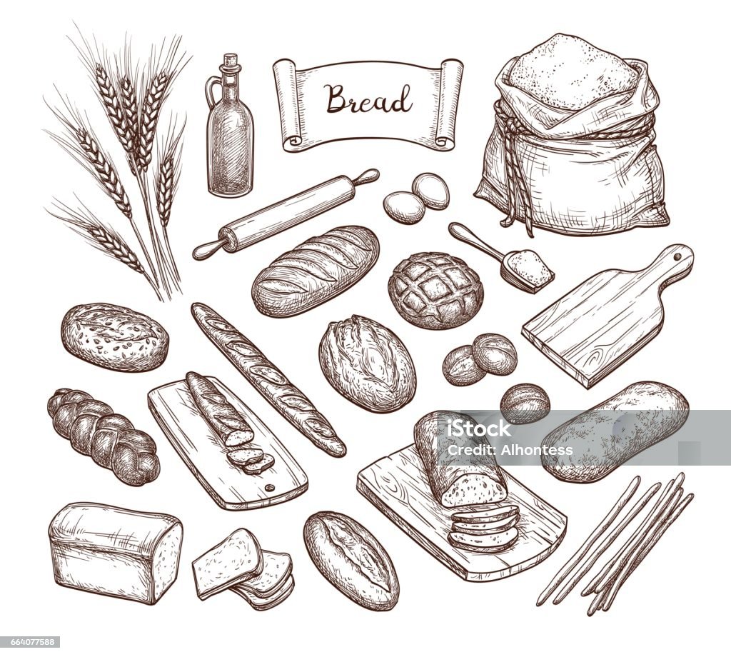 Bread and Ingredients. Bread and Ingredients. Big set. Hand drawn vector illustration. Isolated on white background. Vintage style. Bread stock vector