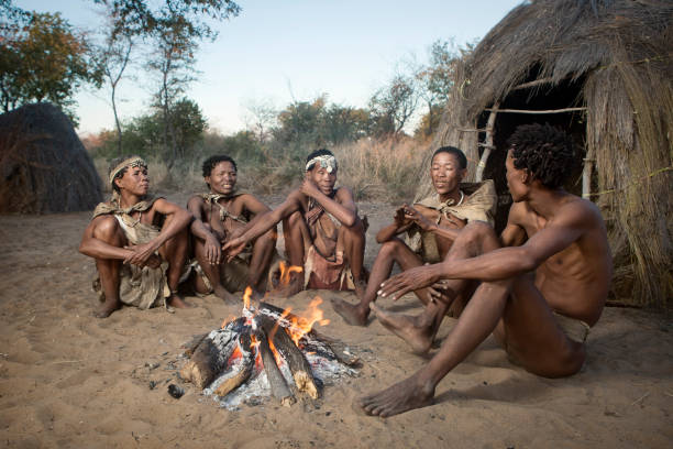 San gathering. GRASHOEK, NAMIBIA - 21ST MAY 2016 - Ju Hoansi villagers gather as part of a cultural demonstration. The San display their culture to visitors in order to preserve ancient traditions and stories. bushmen stock pictures, royalty-free photos & images