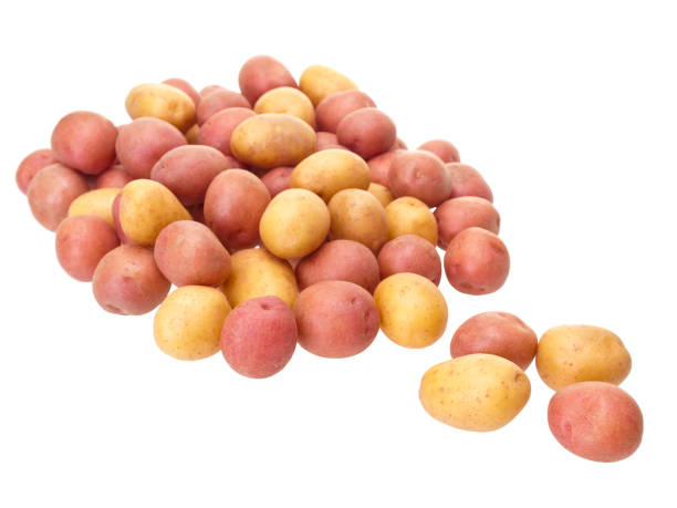 Little patatoes on pure white background stock photo