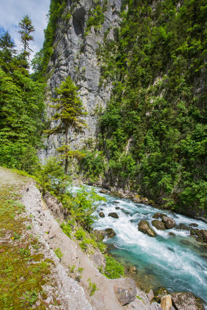 istock Landscape in Abkhazia with Caucasian ridge and river 664087528