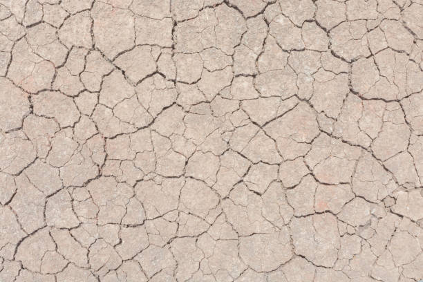 istock Texture Soil drought Cracked overlay Distress Dirty Grain background. 664091052