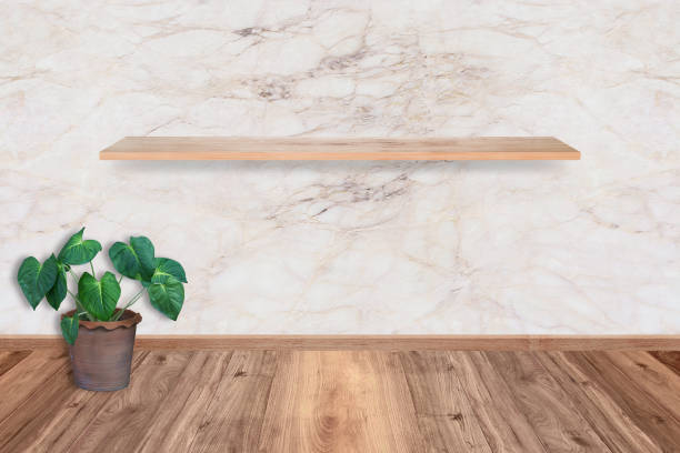 istock plant tree in a pot at room, empty interior with marble wall stone 664095504