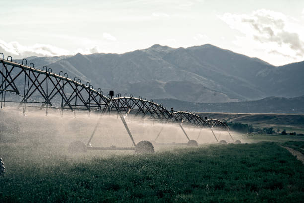 istock Farmland in Colorado Front Range 664098764