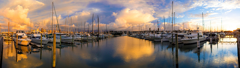 Panoramic view of Westhaven Marina, Auckland / New Zealand