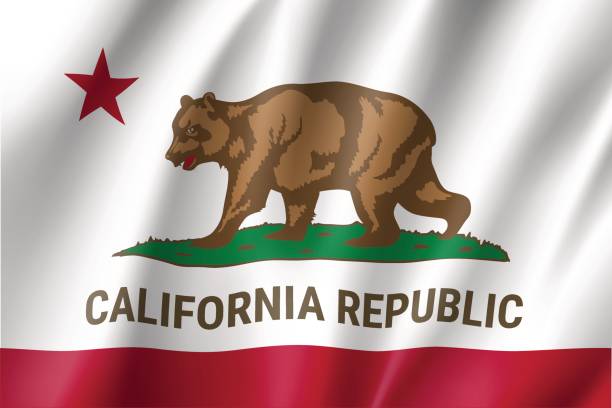 istock Flag of California American state 664104442