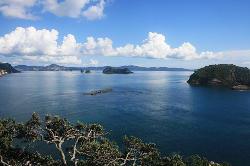 Coastal view of Hahei