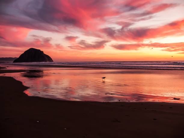 istock Beauty of sunset 664109610