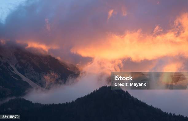 Clouds Covering The Nature Stock Photo - Download Image Now - Atmosphere, Biological Process, Environment