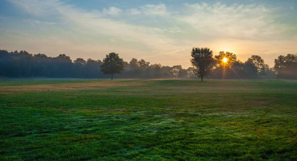 istock Sunrise in the field 664118556