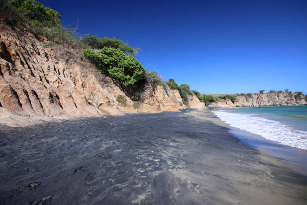 black sand beach (playa negra), vieques, porto rico - isabella island foto e immagini stock