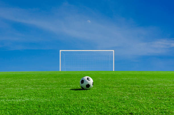 Soccer ball on the green field