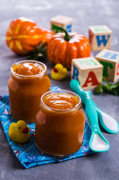 istock Homemade baby food 664138434