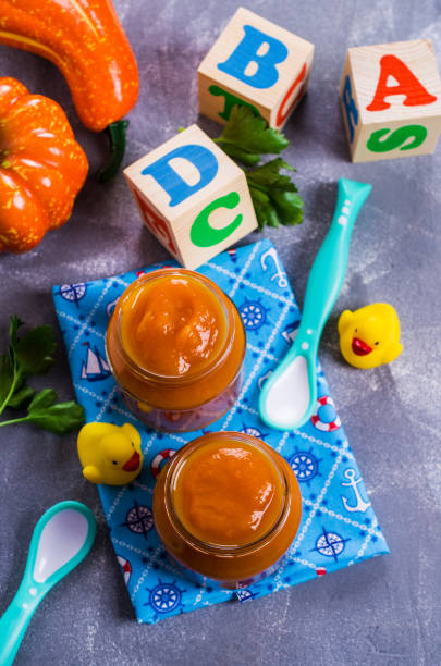 istock Homemade baby food 664138612