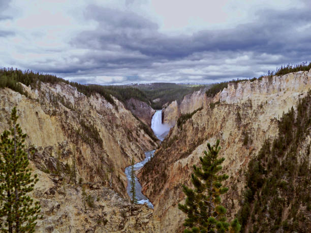 istock Yellowstone National Park, USA 664147918