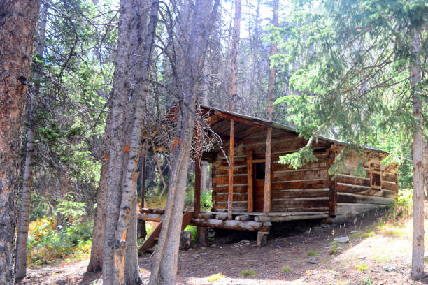 istock Shoshone National Forest, Wyoming, USA 664152372