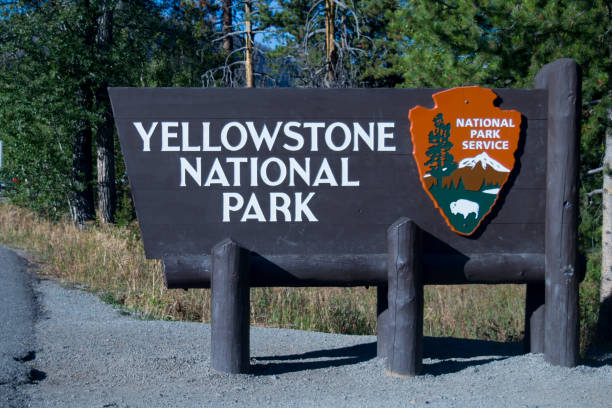 istock Yellowstone National Park, USA 664152418