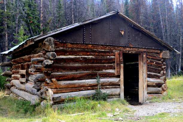 istock Shoshone National Forest, Wyoming, USA 664152622