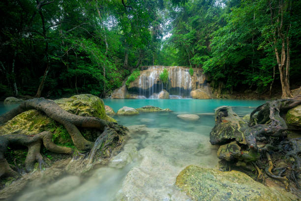 istock Waterfall in forest at Erawan waterfall National Park, Kanchanaburi, Thailand 664155182