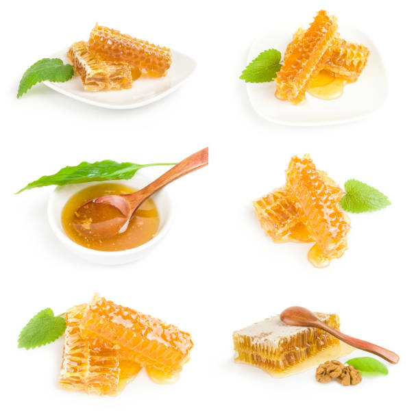 istock Collage of Honey bee isolated on a white background cutout 664155540