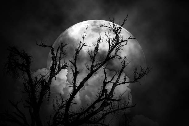 istock The moon in the night scary. 664178208