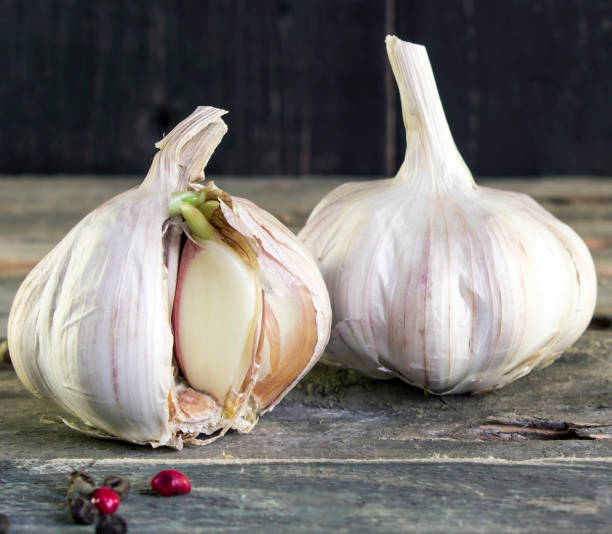 aglio germogliato su un tavolo di legno rustico. primavera. - light vegetarian food garlic spice foto e immagini stock