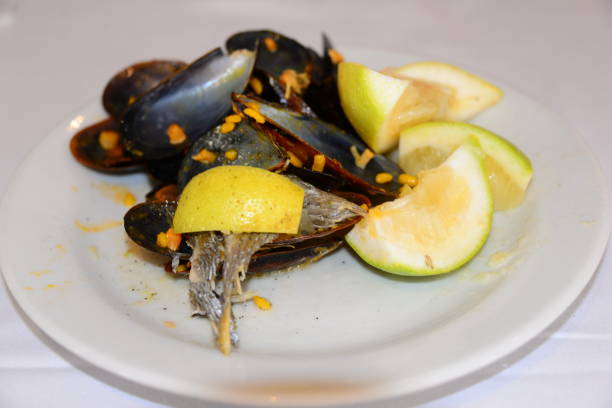 istock Mussels on the plate - Spain 664186276
