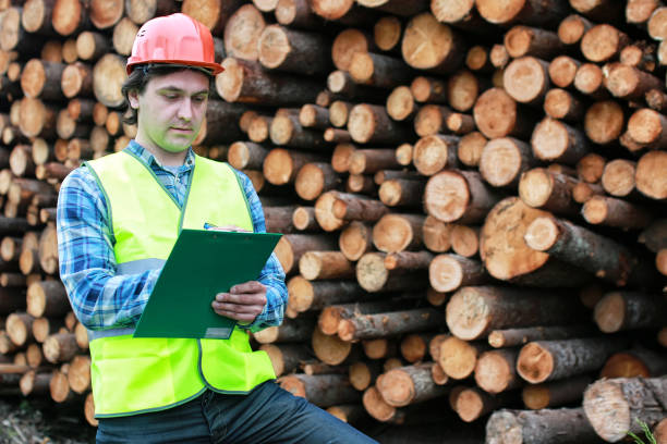istock man in helmet worker wood lumber 664191616
