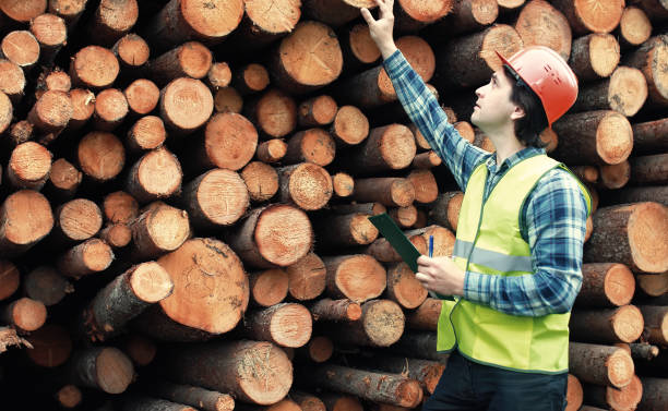 istock Worker in helmet counts wood lumber 664191756