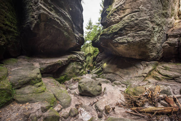 istock Backpacker in Saxon Switzerland, Germany, Europe 664192312