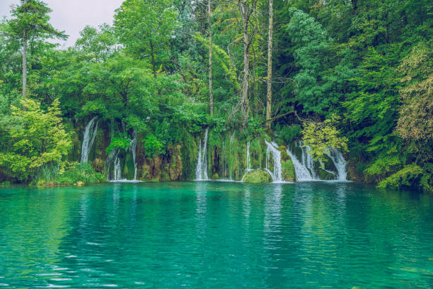 istock Beautiful morning in Croatian. 664194888