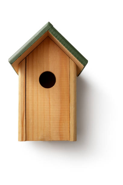 giardinaggio: bird house isolata su sfondo bianco - birdhouse animal nest house residential structure foto e immagini stock