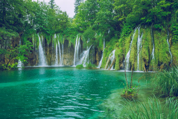istock Beautiful morning in Croatian. 664198118