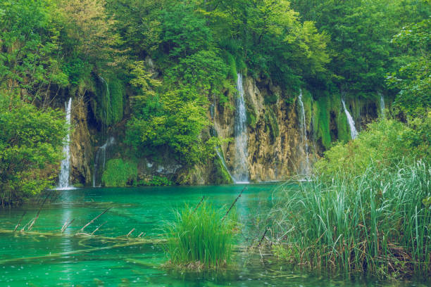 istock Beautiful morning in Croatian. 664198218