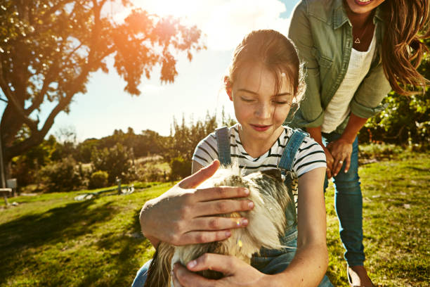 istock Playing with their best friend at the park 664213464