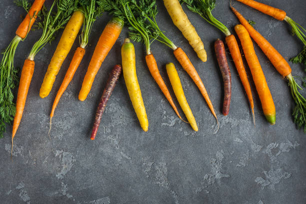 istock Fresh colorful carrots on dark background. Flat lay, top view 664222464